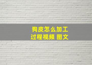 狗皮怎么加工过程视频 图文